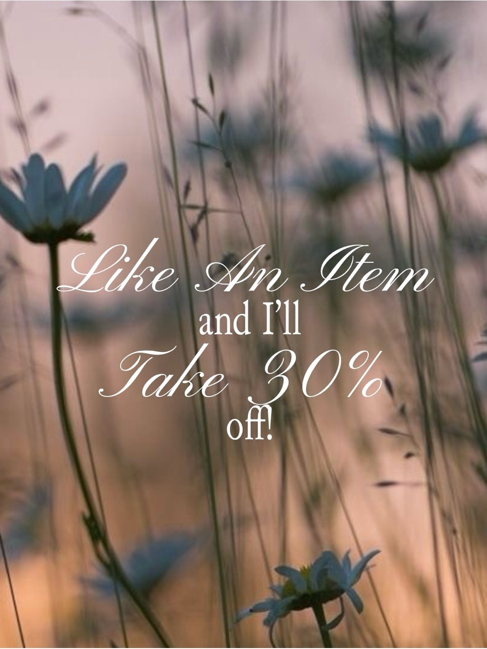 ✨✨30% off all items!!✨✨